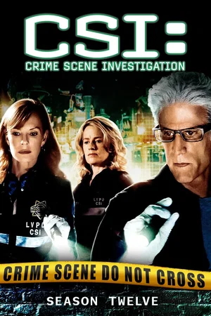 Affiche de Saison 12