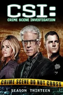 Affiche de Saison 13