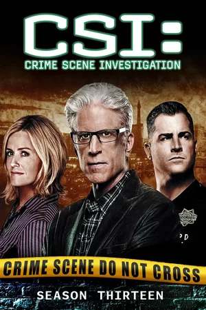 Affiche de Saison 13