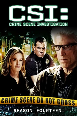 Affiche de Saison 14