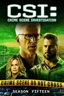 Affiche de Saison 15