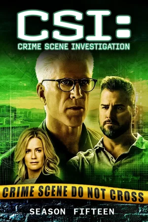 Affiche de Saison 15