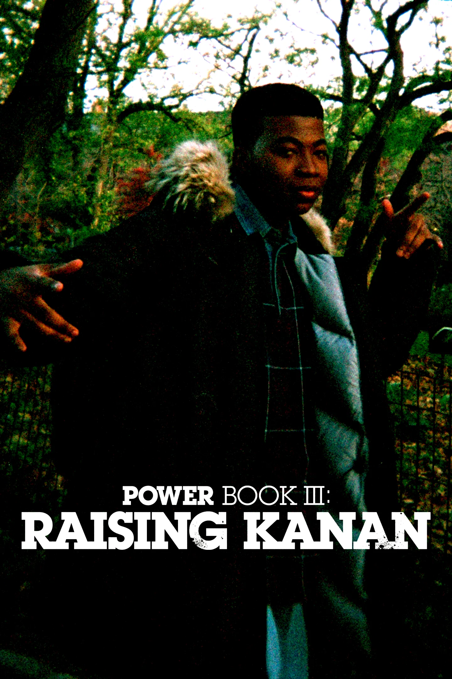 Photo de la saison 1 : Power Book III: Raising Kanan