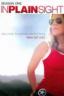 Affiche de Saison 1