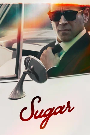 Affiche de Saison 1