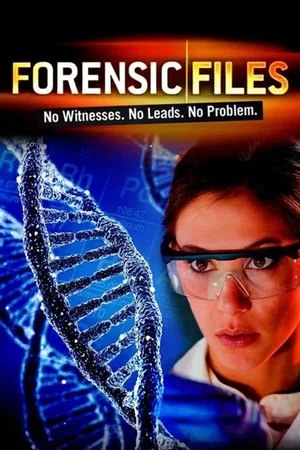 Affiche de Saison 1