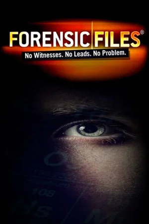 Affiche de Saison 4