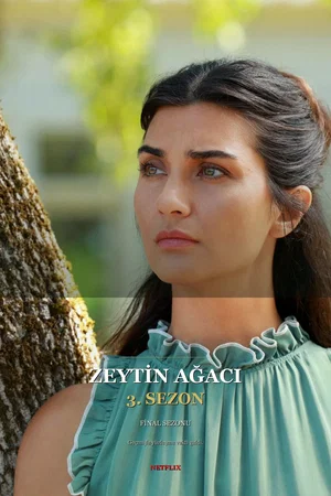 Affiche de Saison 3