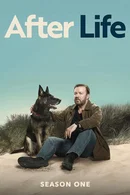 Affiche de Saison 1
